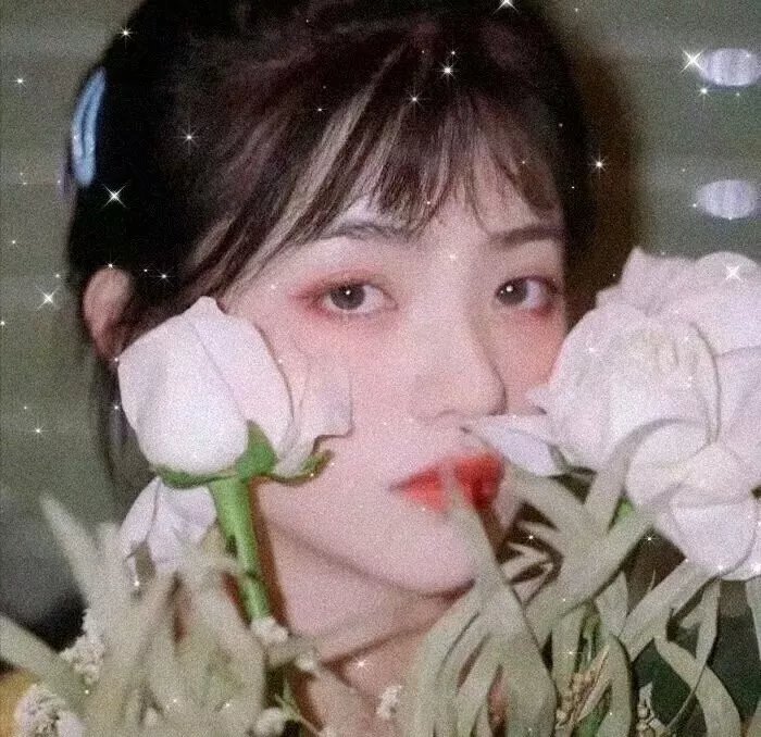 噬血狂袭第三季