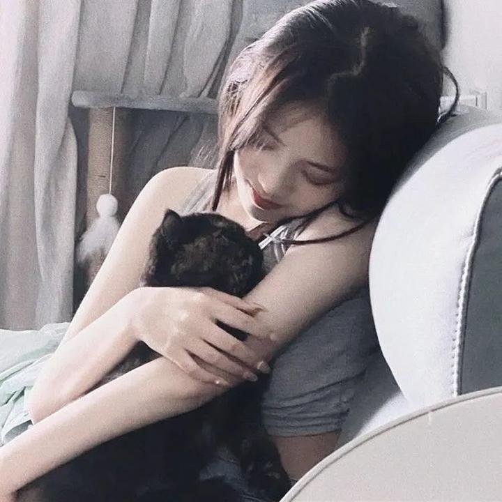 校园秘密档案